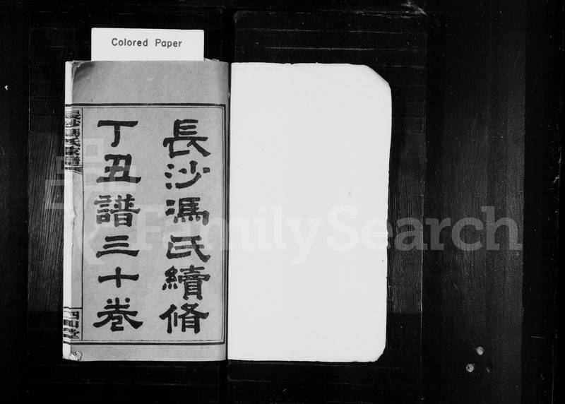 族谱预览