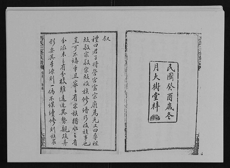 族谱预览