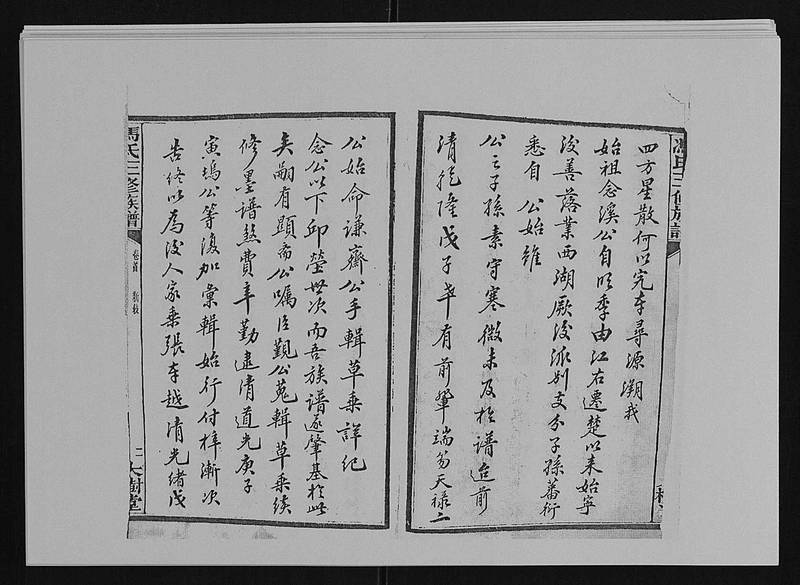 族谱预览