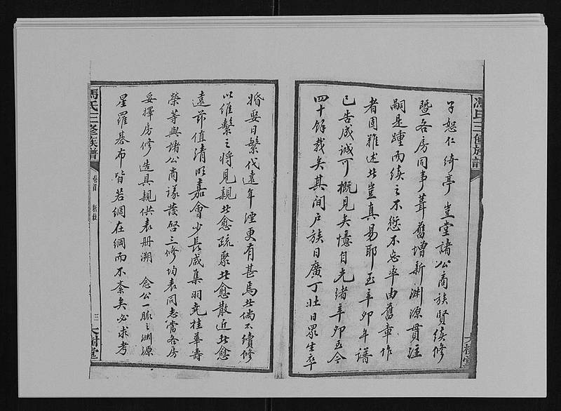 族谱预览