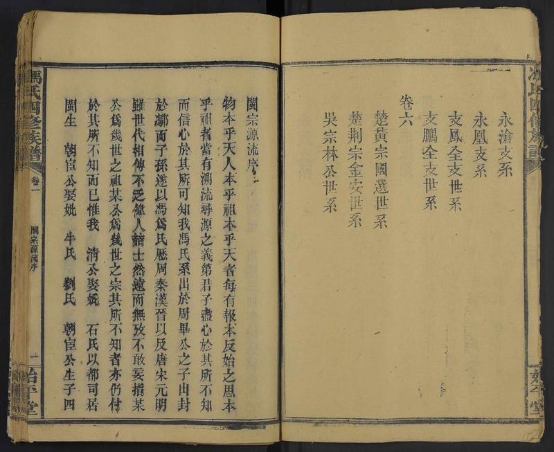 族谱预览