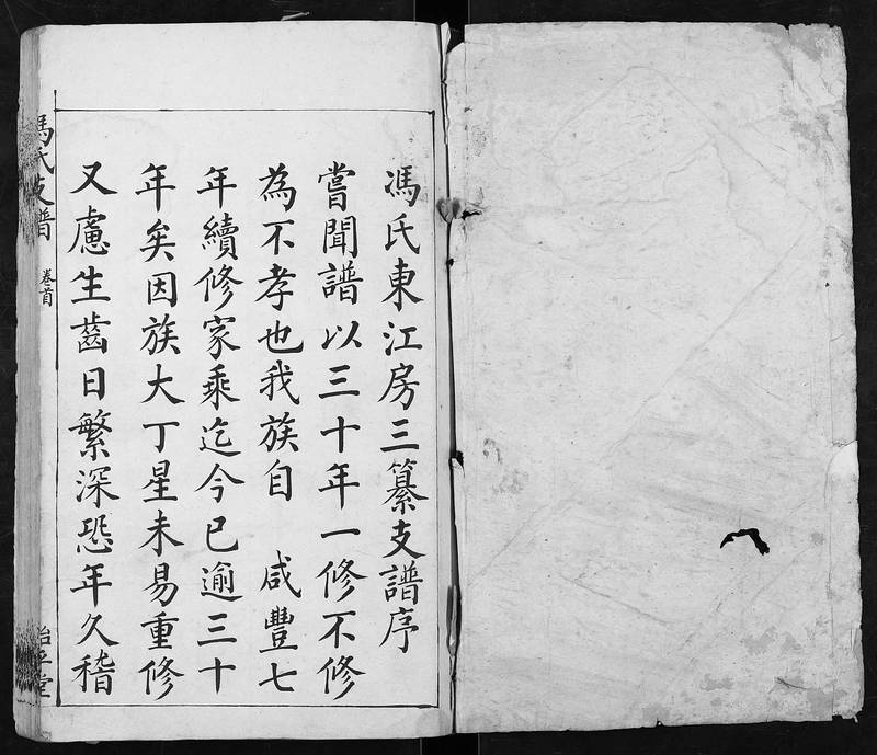 族谱预览