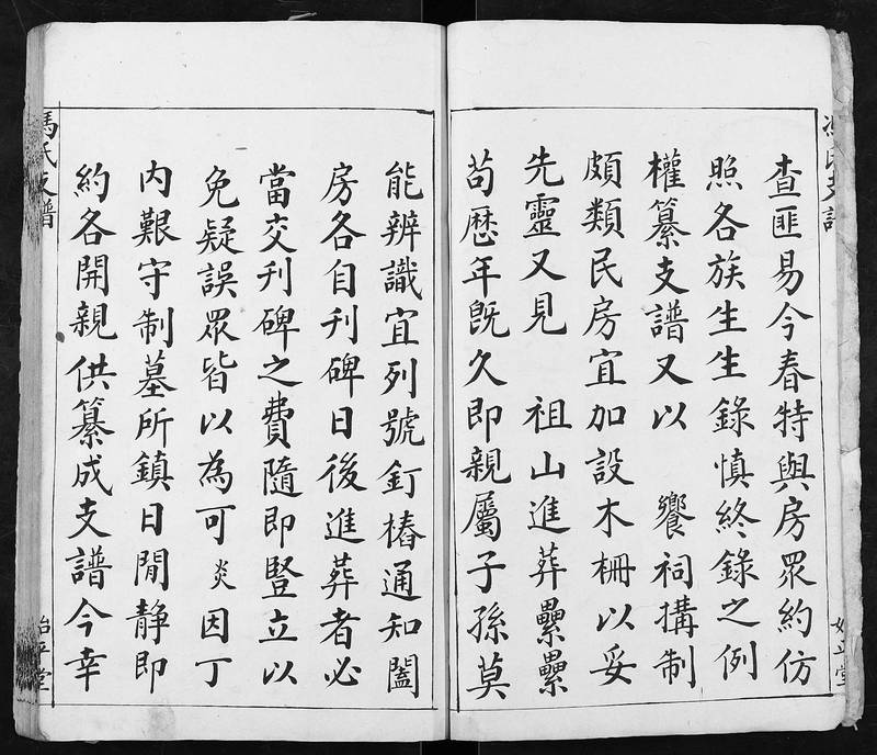 族谱预览