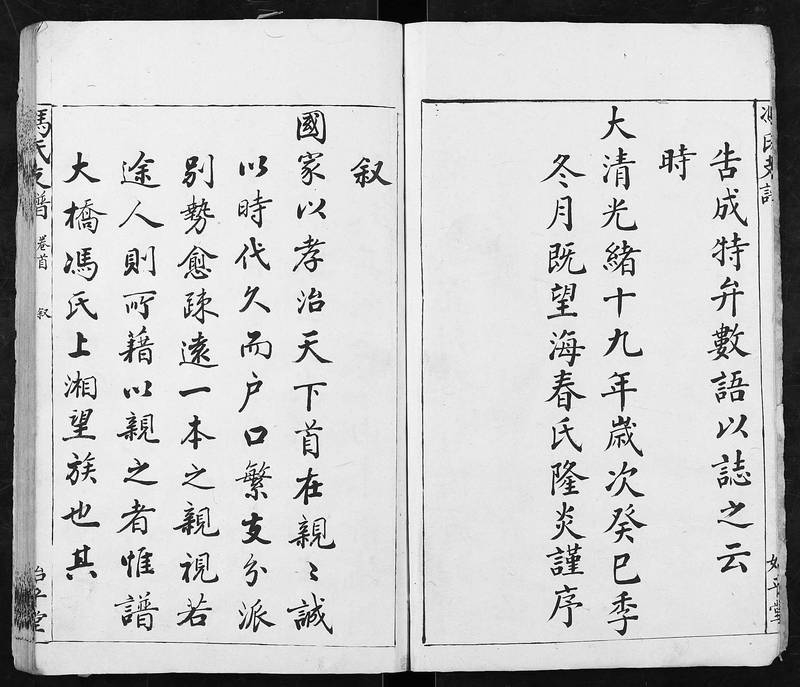 族谱预览