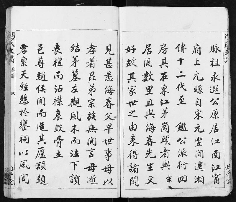 族谱预览