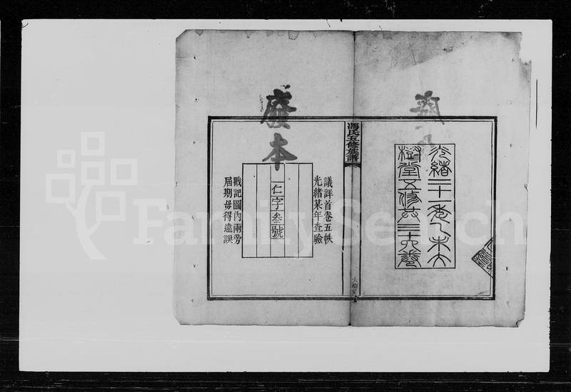 族谱预览