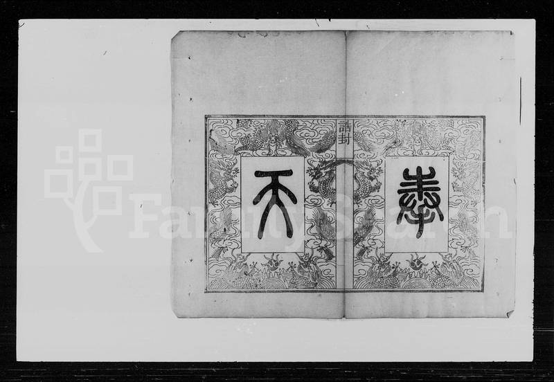 族谱预览