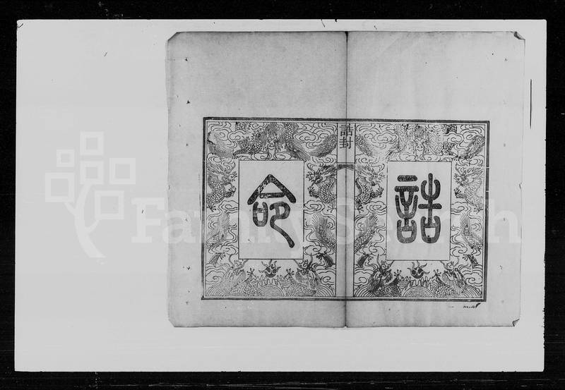 族谱预览