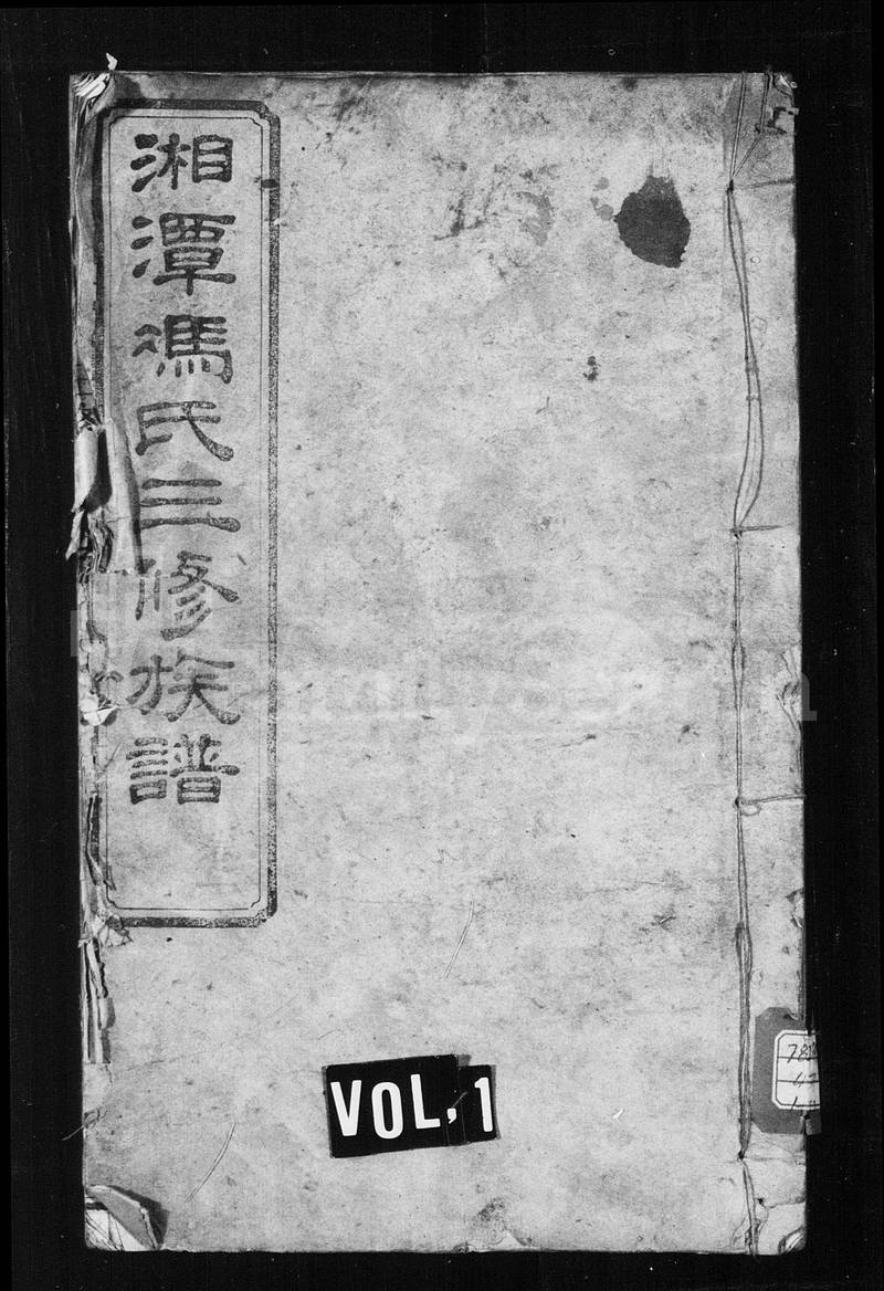 族谱预览