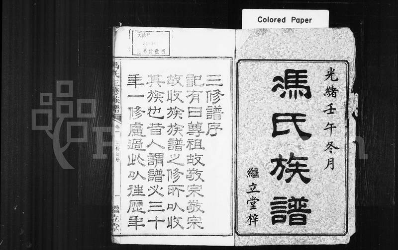 族谱预览