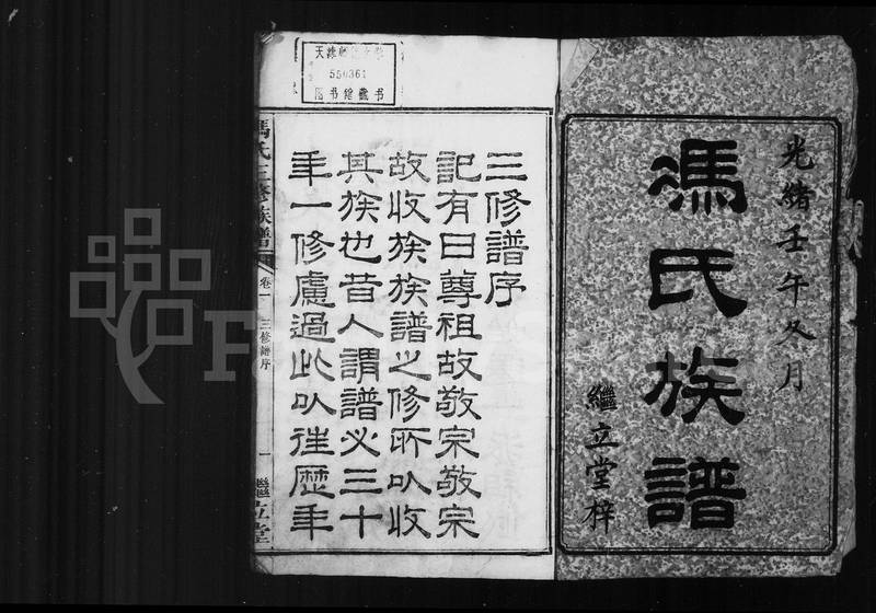 族谱预览