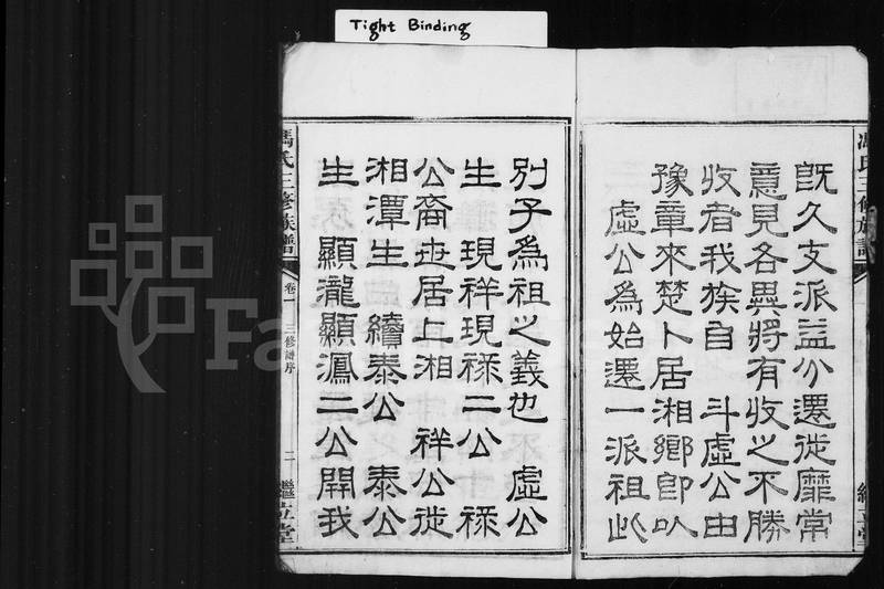 族谱预览