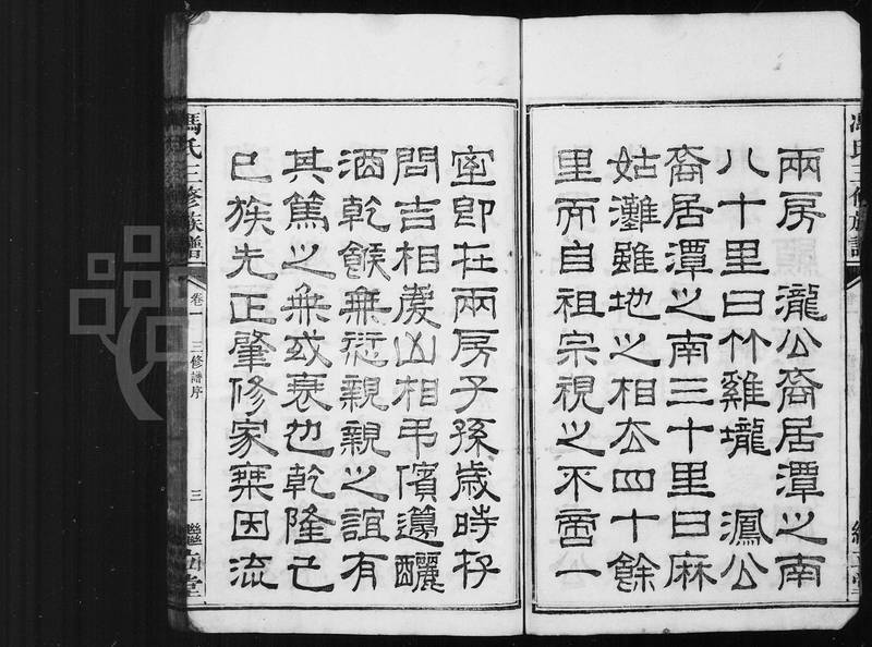 族谱预览