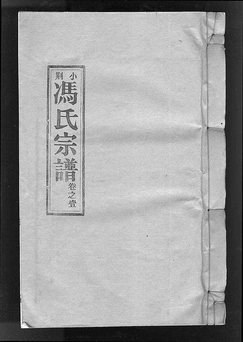 族谱预览