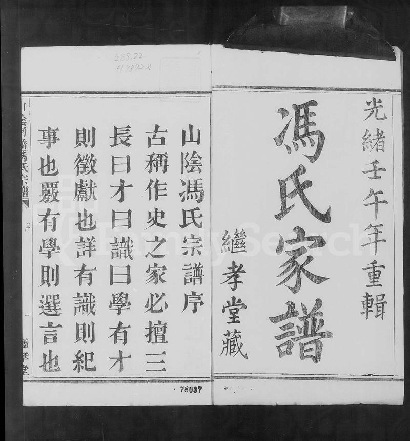 族谱预览