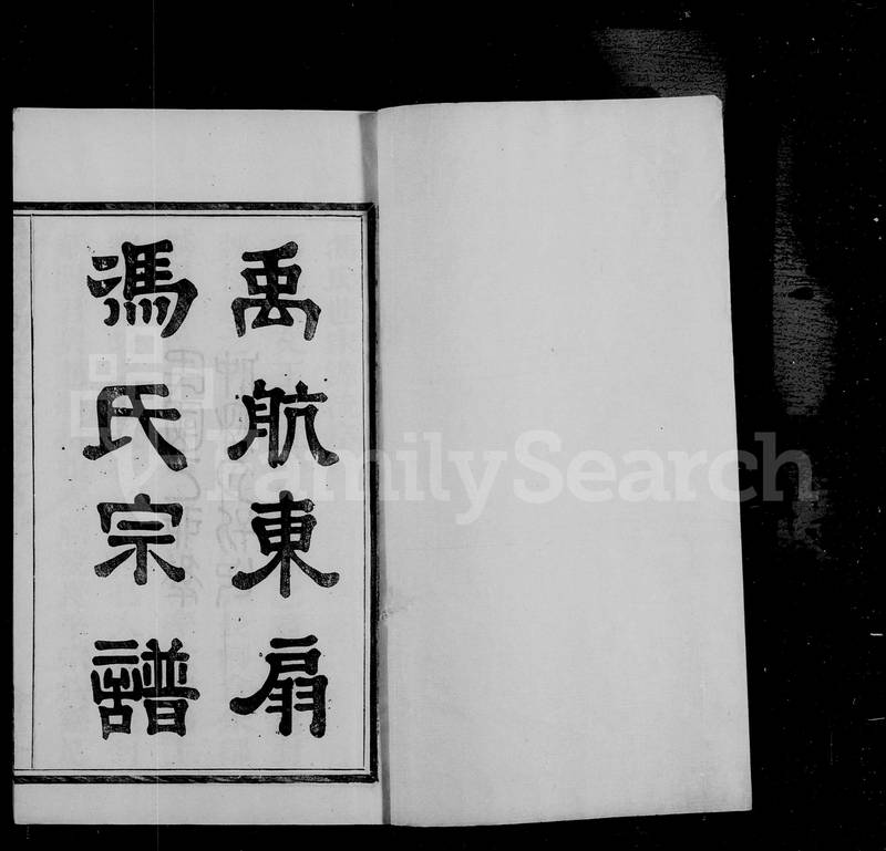 族谱预览
