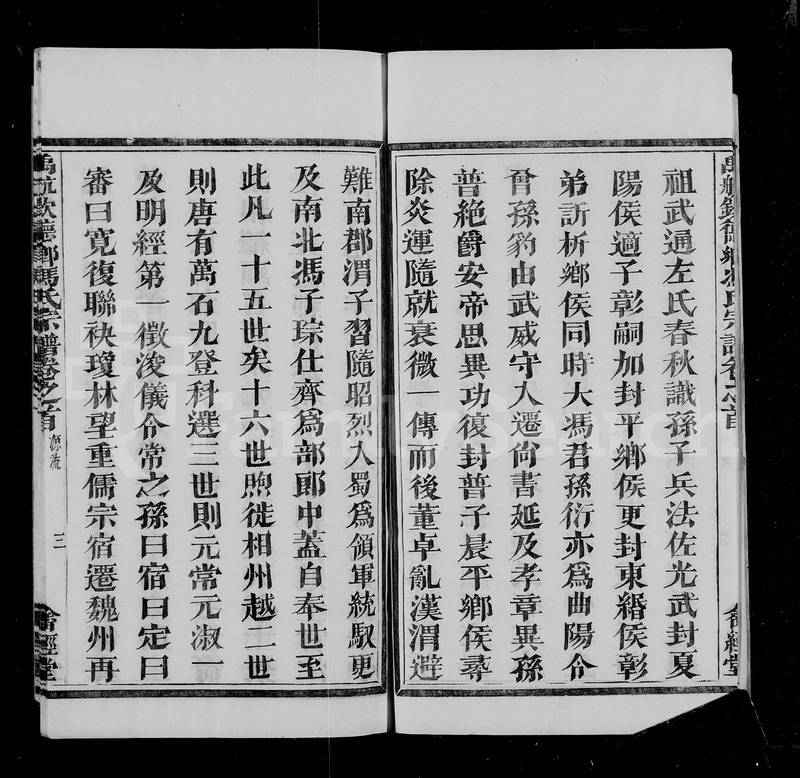族谱预览