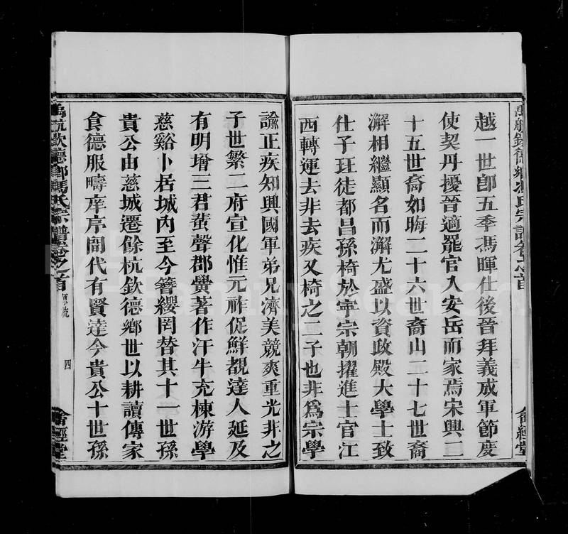 族谱预览