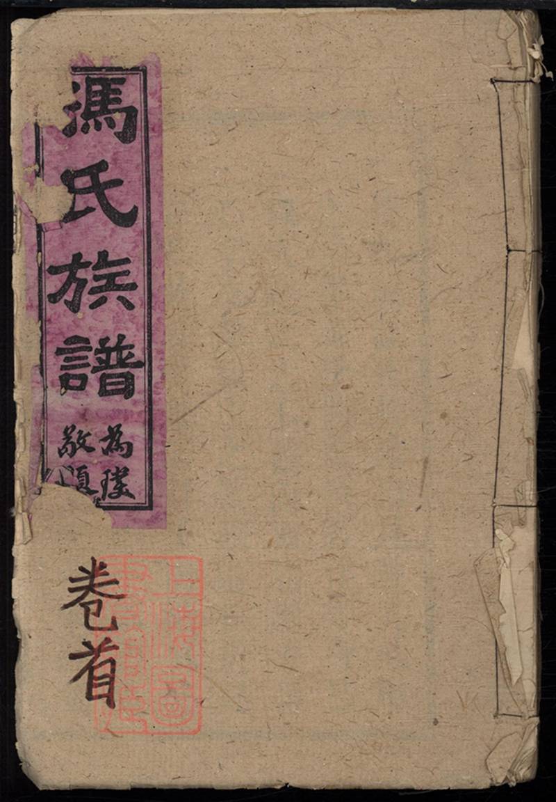 族谱预览