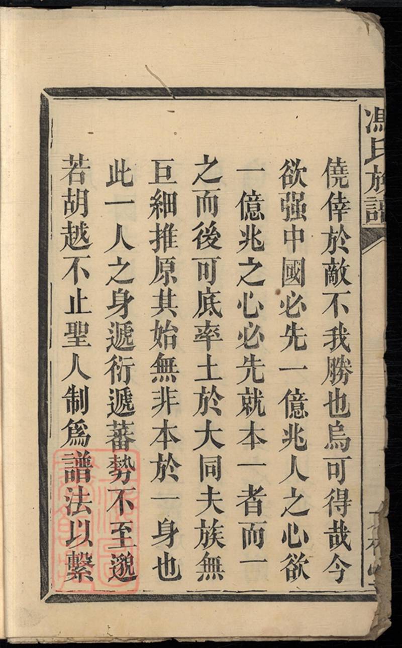 族谱预览