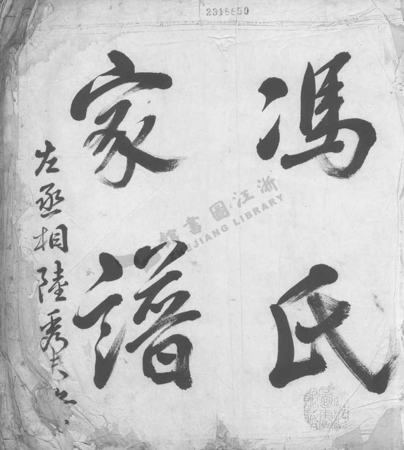 族谱预览