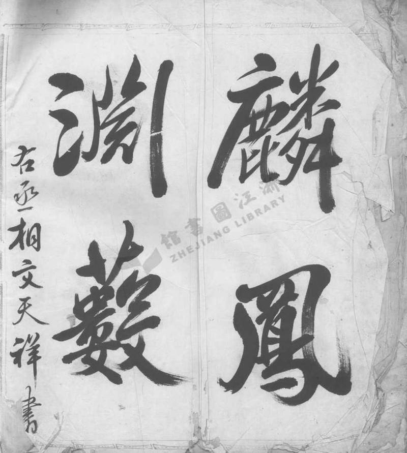 族谱预览