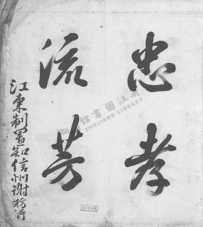 族谱预览