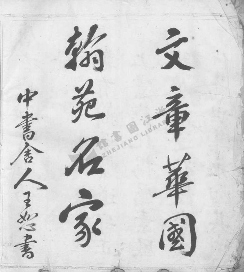 族谱预览