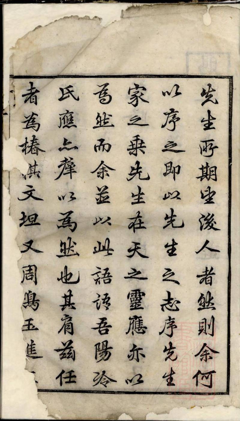 族谱预览