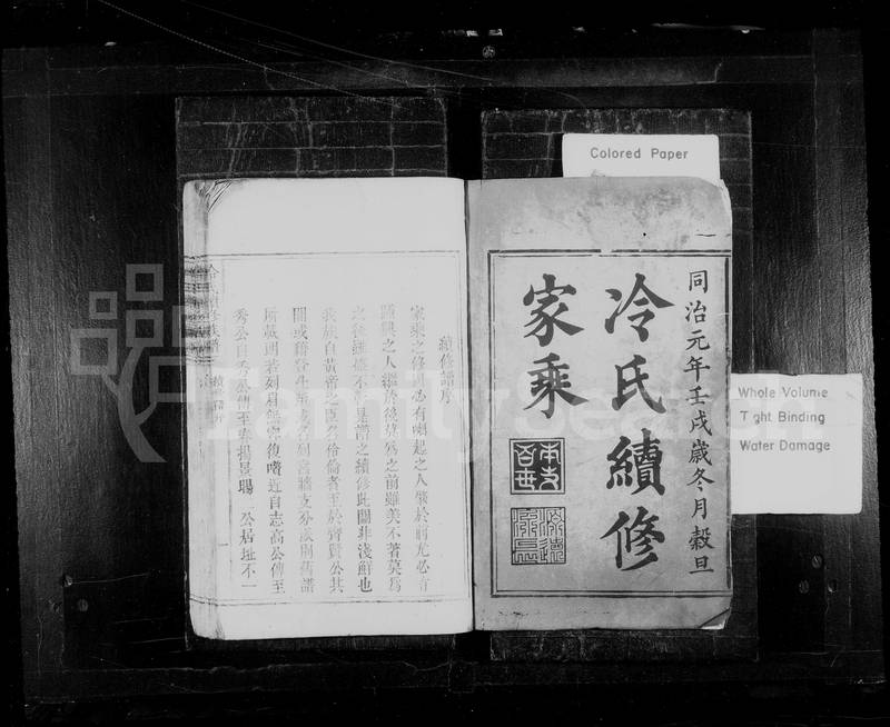 族谱预览