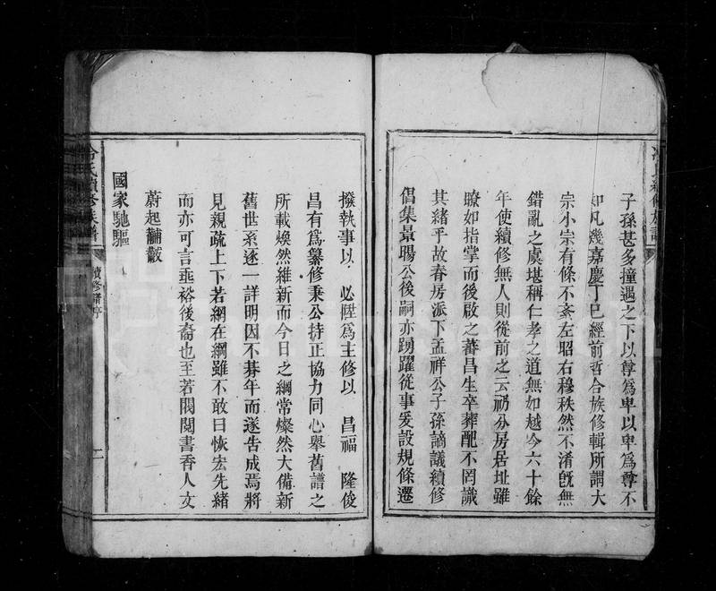 族谱预览
