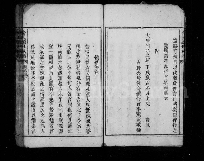 族谱预览