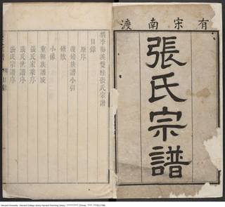 族谱预览