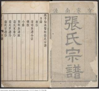 族谱预览