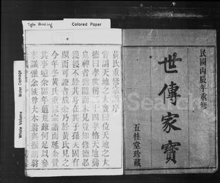 族谱预览