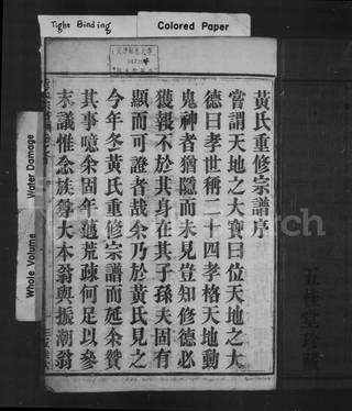 族谱预览