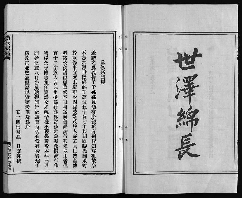 族谱预览