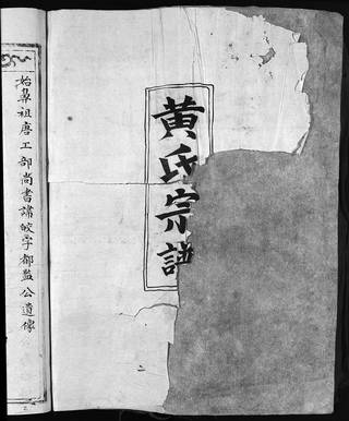 族谱预览