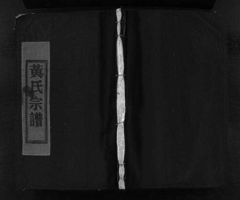 族谱预览