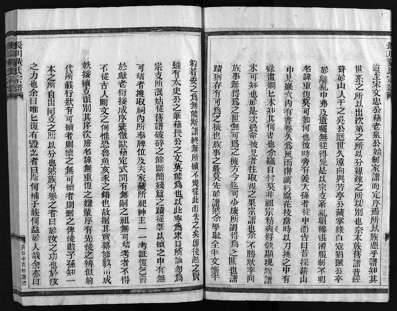 族谱预览