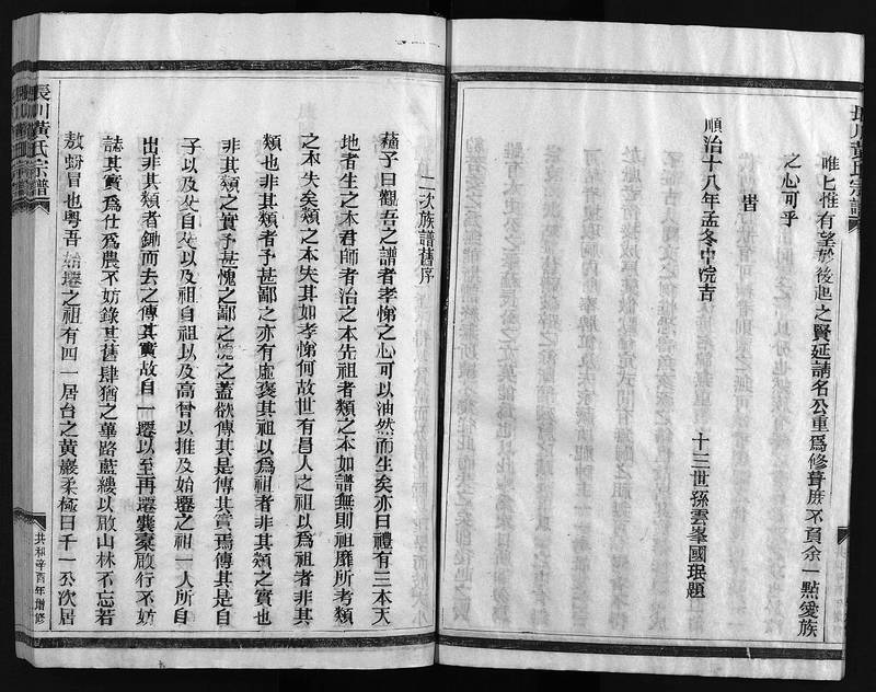 族谱预览