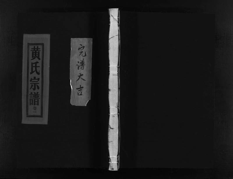 族谱预览