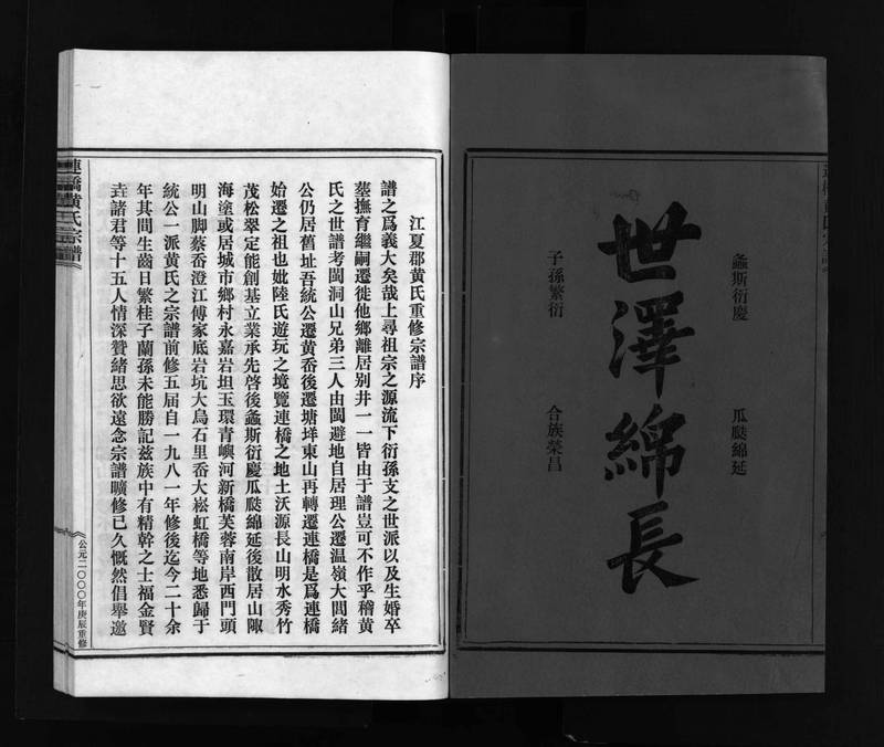 族谱预览