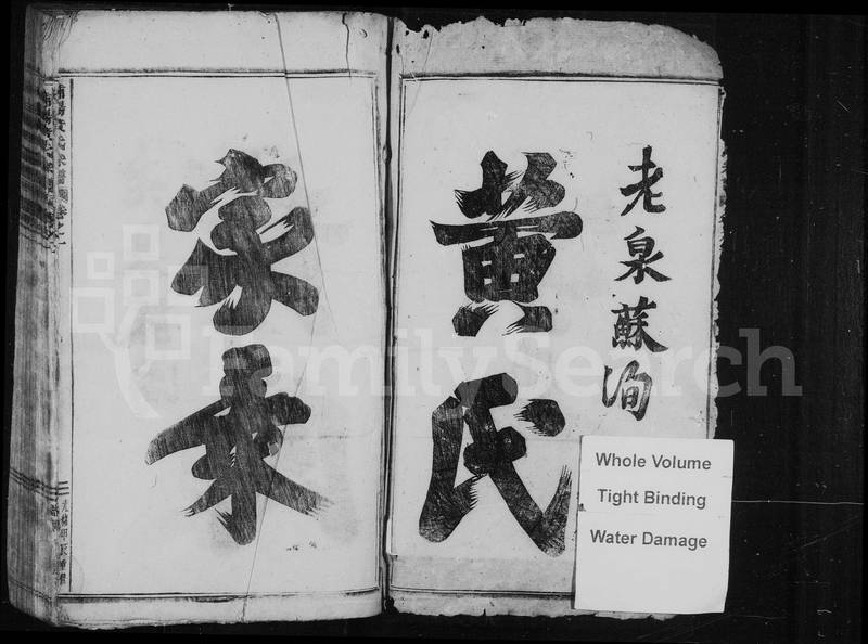 族谱预览