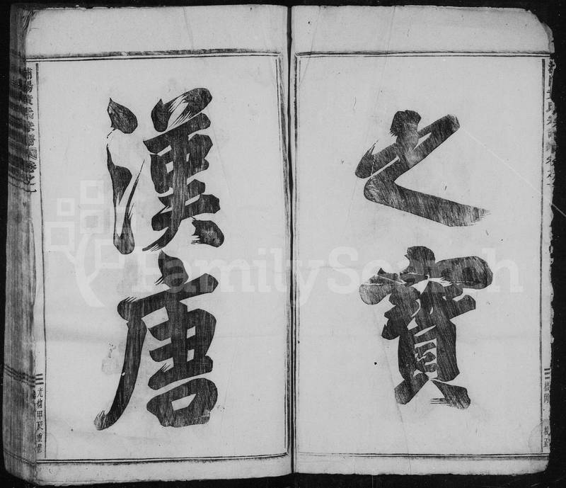 族谱预览