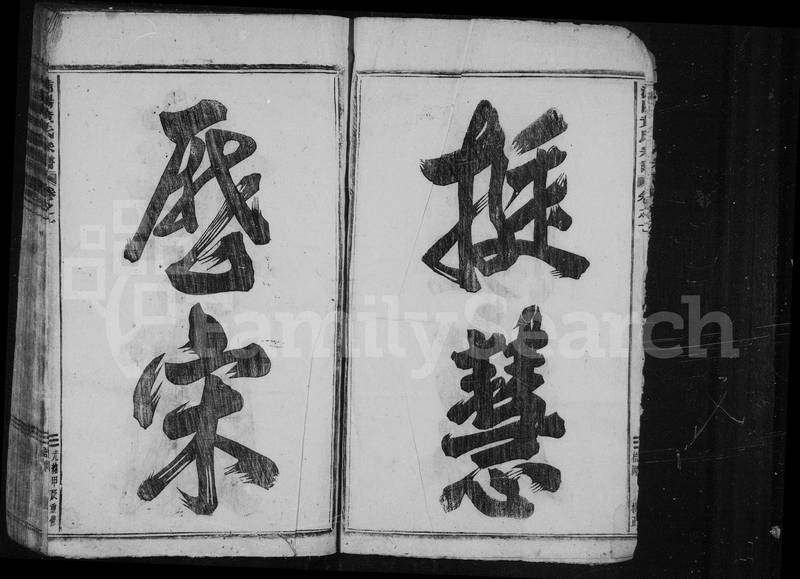 族谱预览