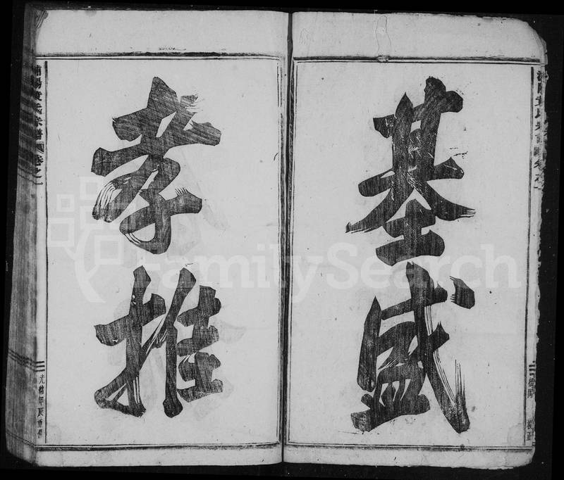 族谱预览