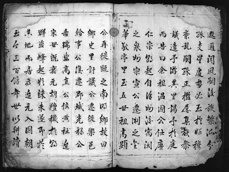族谱预览