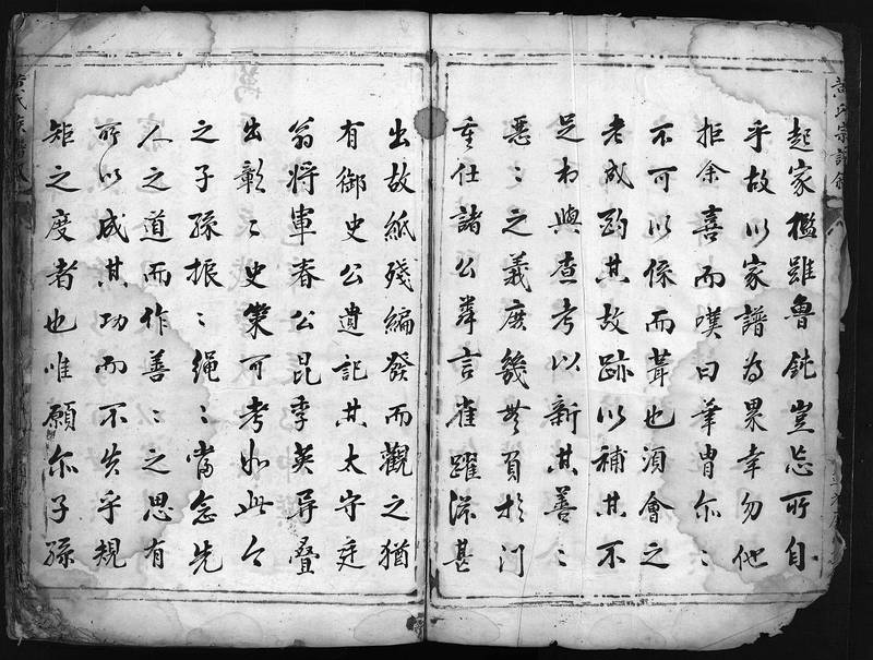 族谱预览