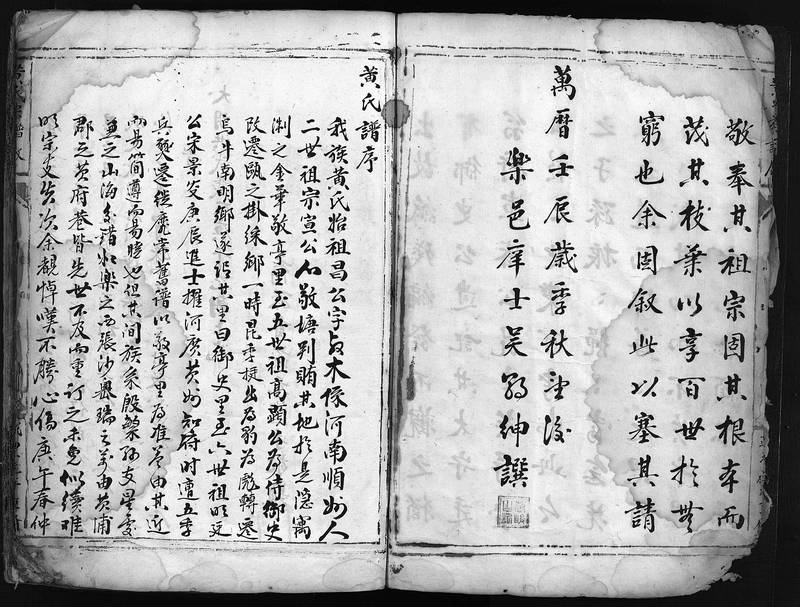 族谱预览